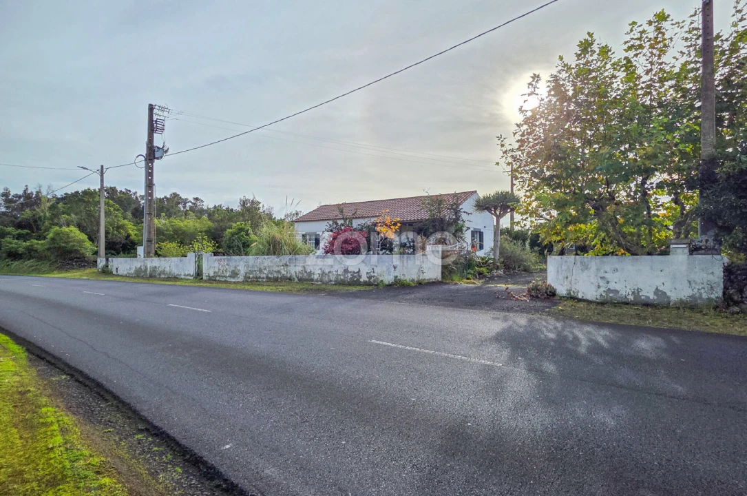 Moradia T4 para Venda em Candelaria Foto 4