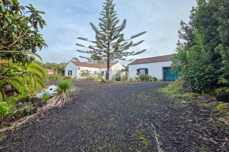 Moradia T4 para Venda em Candelaria Foto 17