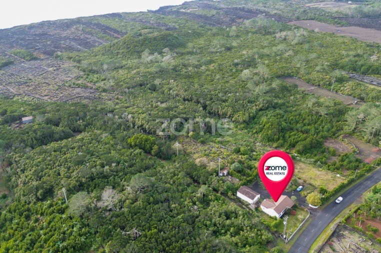 Moradia T4 para Venda em Candelaria Foto 23