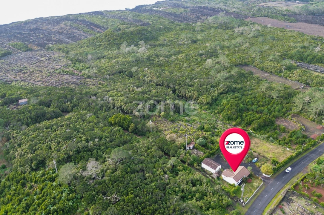 Moradia T4 para Venda em Candelaria Foto 23