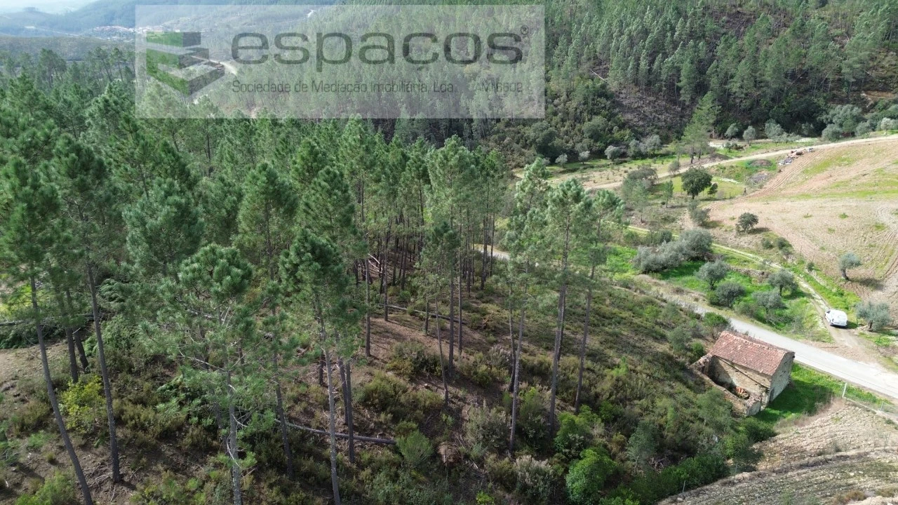 Quinta para Venda em Sarzedas Foto 3