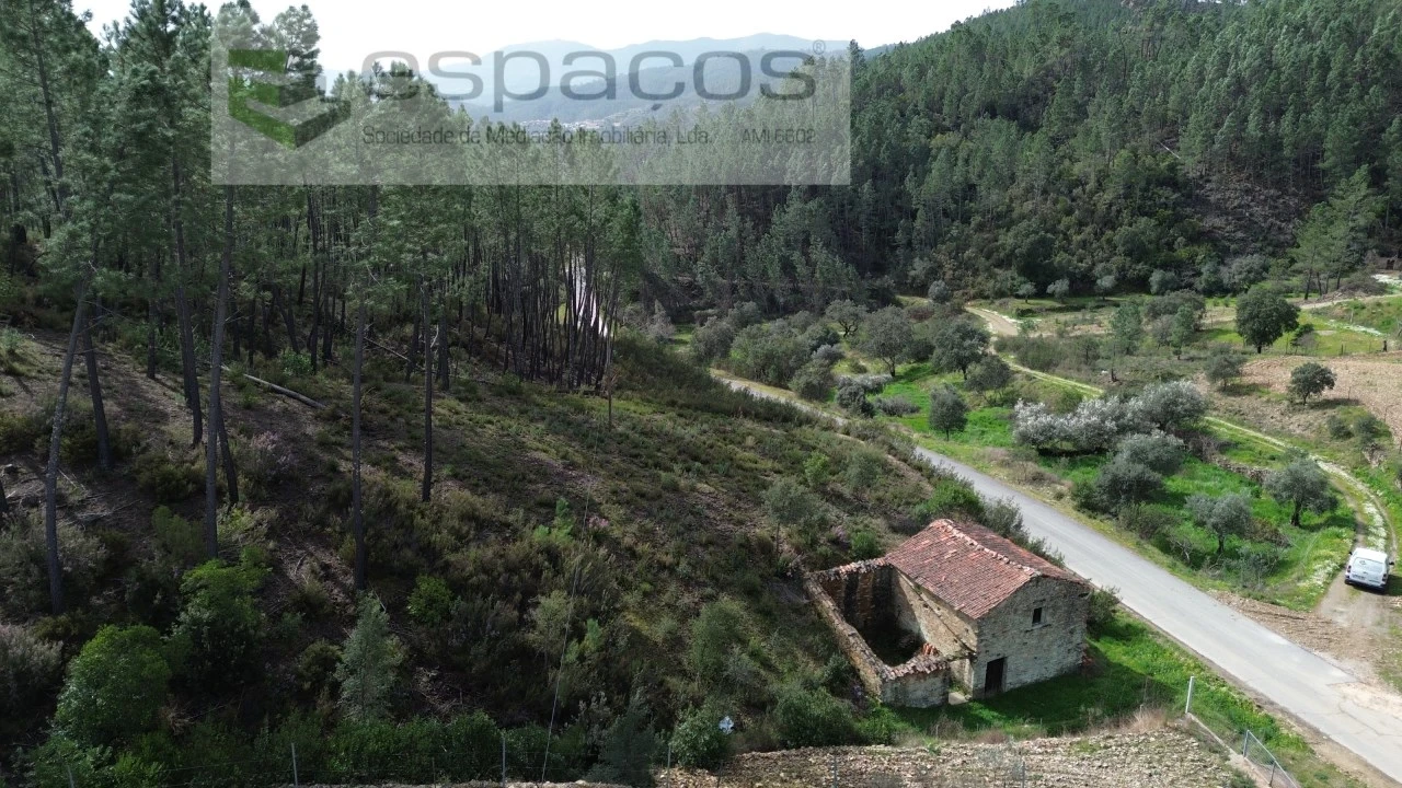 Quinta para Venda em Sarzedas Foto 4