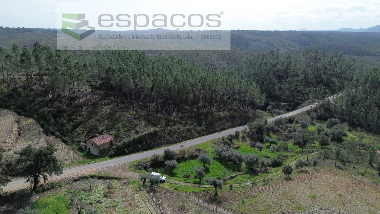 Quinta para Venda em Sarzedas Foto 5