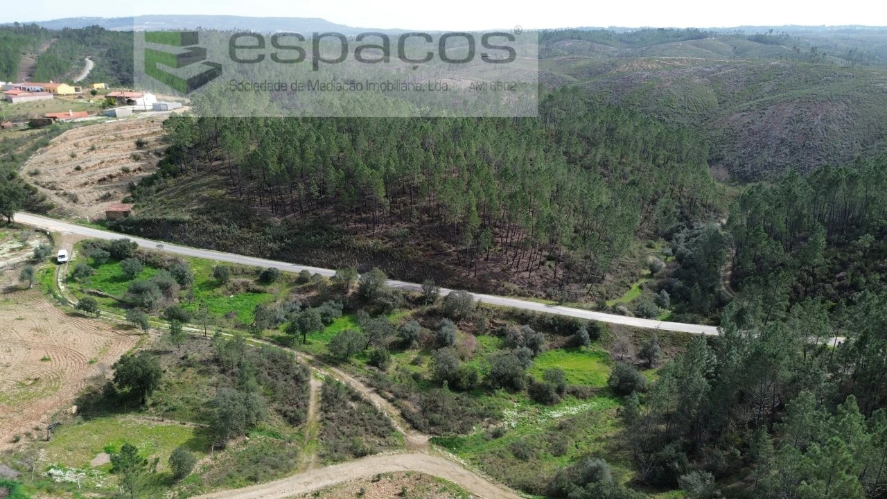 Quinta para Venda em Sarzedas Foto 6