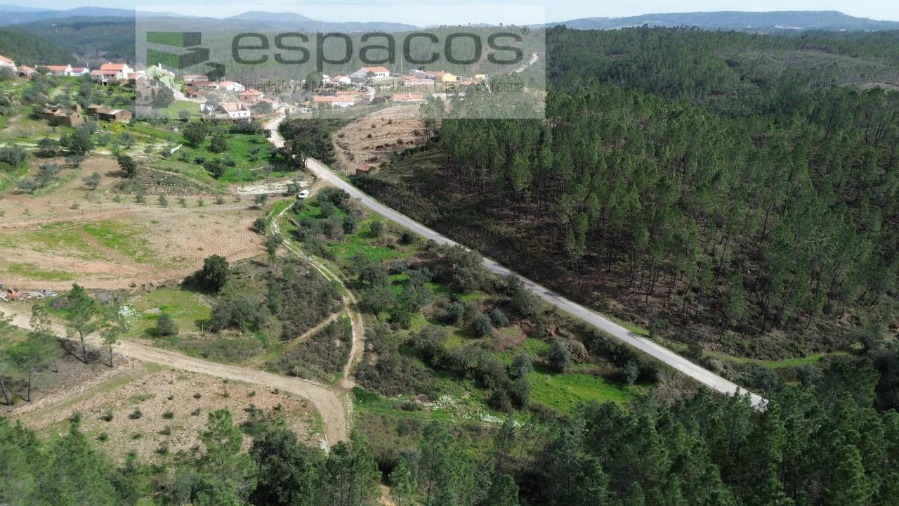 Quinta para Venda em Sarzedas Foto 7