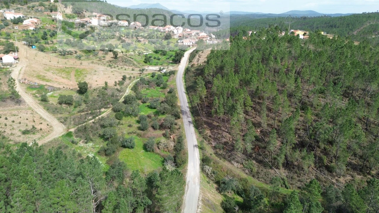 Quinta para Venda em Sarzedas Foto 8