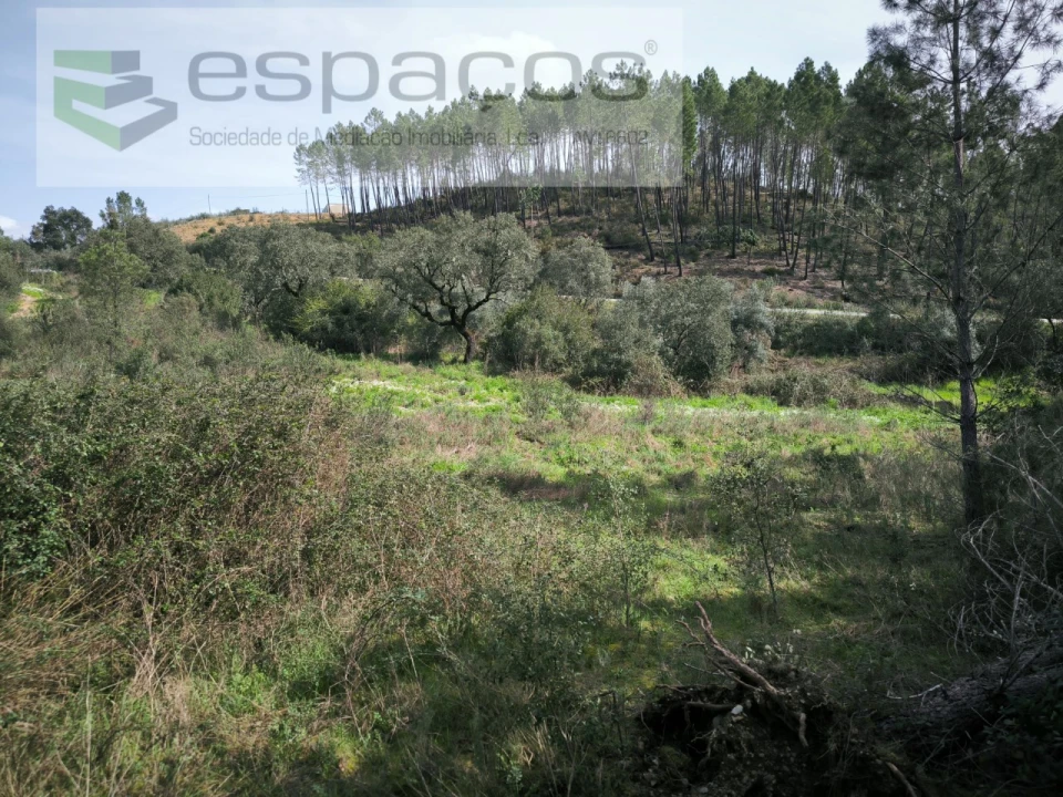 Quinta para Venda em Sarzedas Foto 18