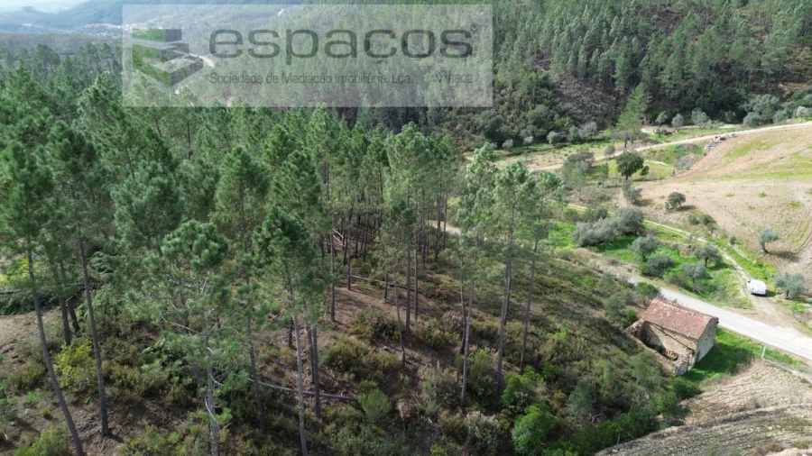 Quinta para Venda em Sarzedas Foto 3