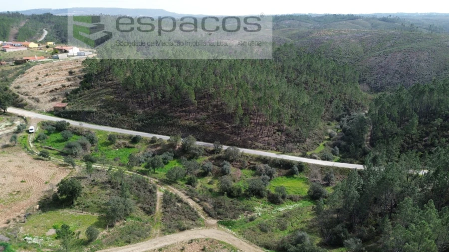 Quinta para Venda em Sarzedas Foto 6