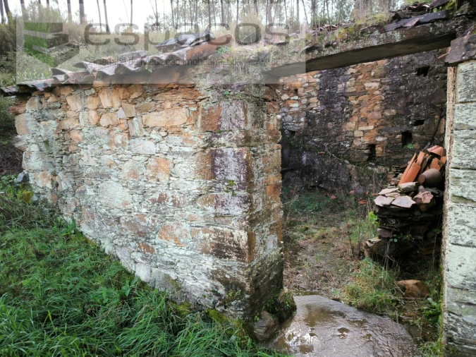 Quinta para Venda em Sarzedas Foto 10