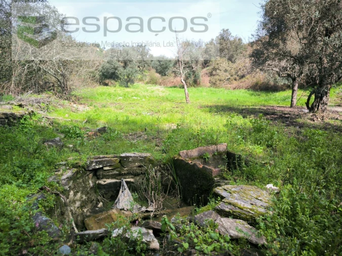 Quinta para Venda em Sarzedas Foto 17