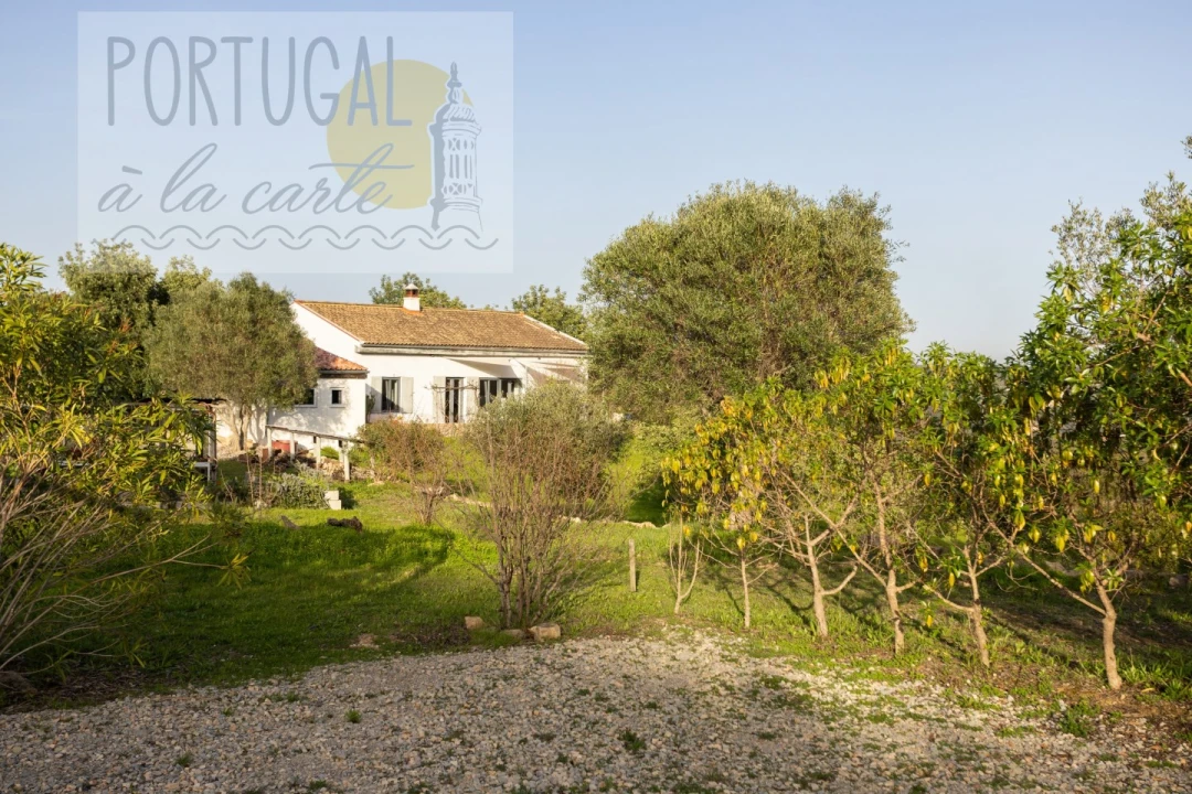 Moradia T3 para Venda em São Brás de Alportel Foto 47