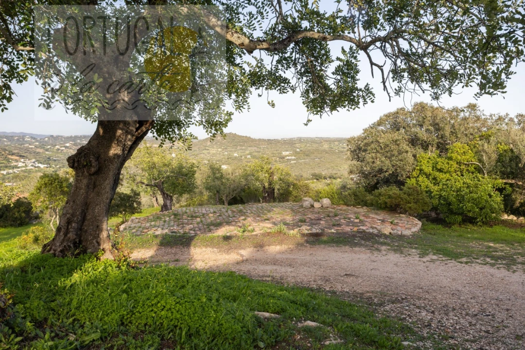 Moradia T3 para Venda em São Brás de Alportel Foto 51