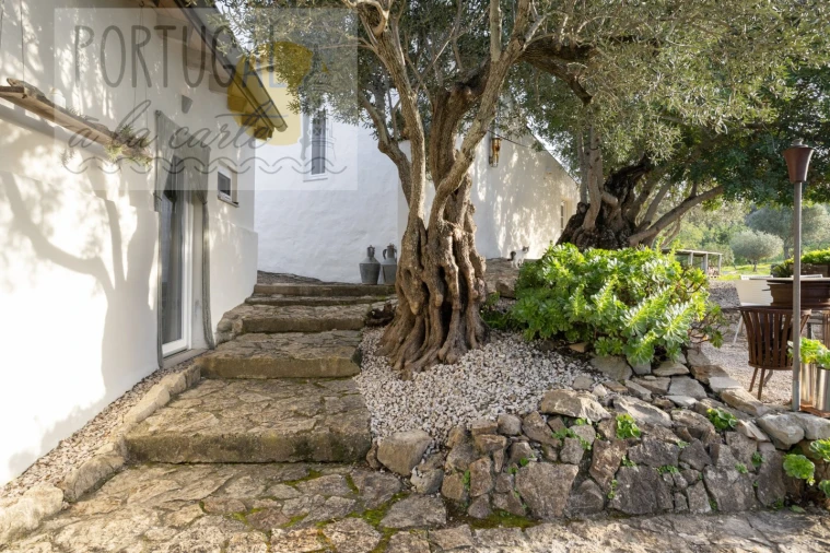 Moradia T3 para Venda em São Brás de Alportel Foto 38