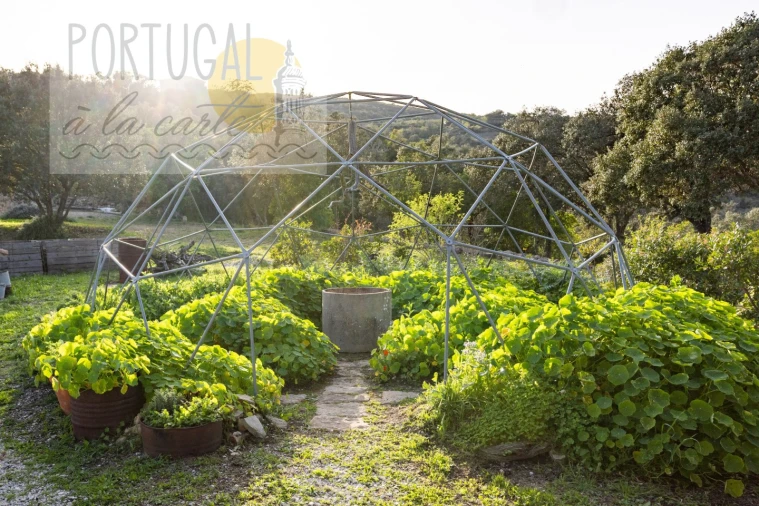 Moradia T3 para Venda em São Brás de Alportel Foto 43