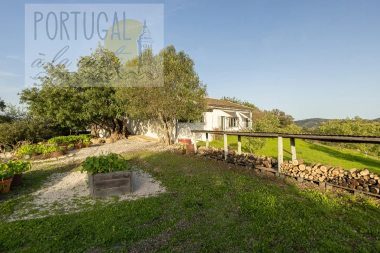 Moradia T3 para Venda em São Brás de Alportel Foto 44