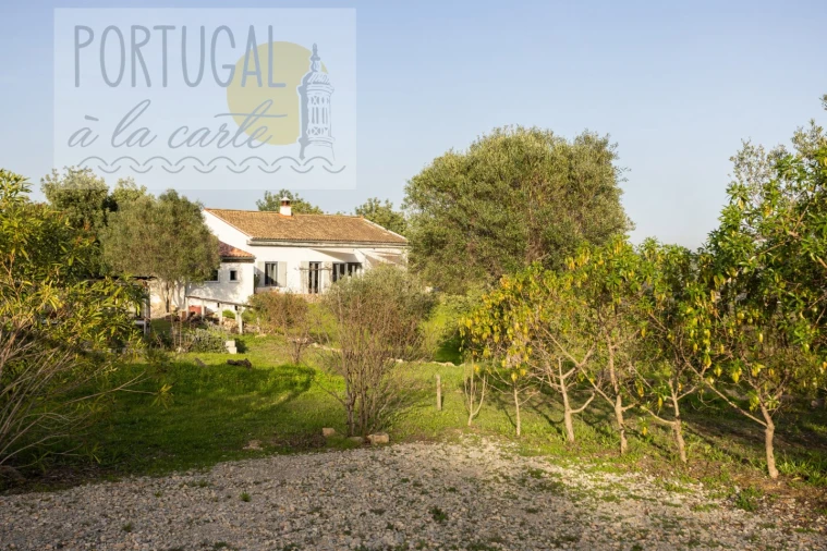 Moradia T3 para Venda em São Brás de Alportel Foto 47