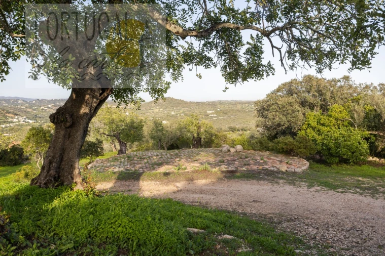 Moradia T3 para Venda em São Brás de Alportel Foto 51