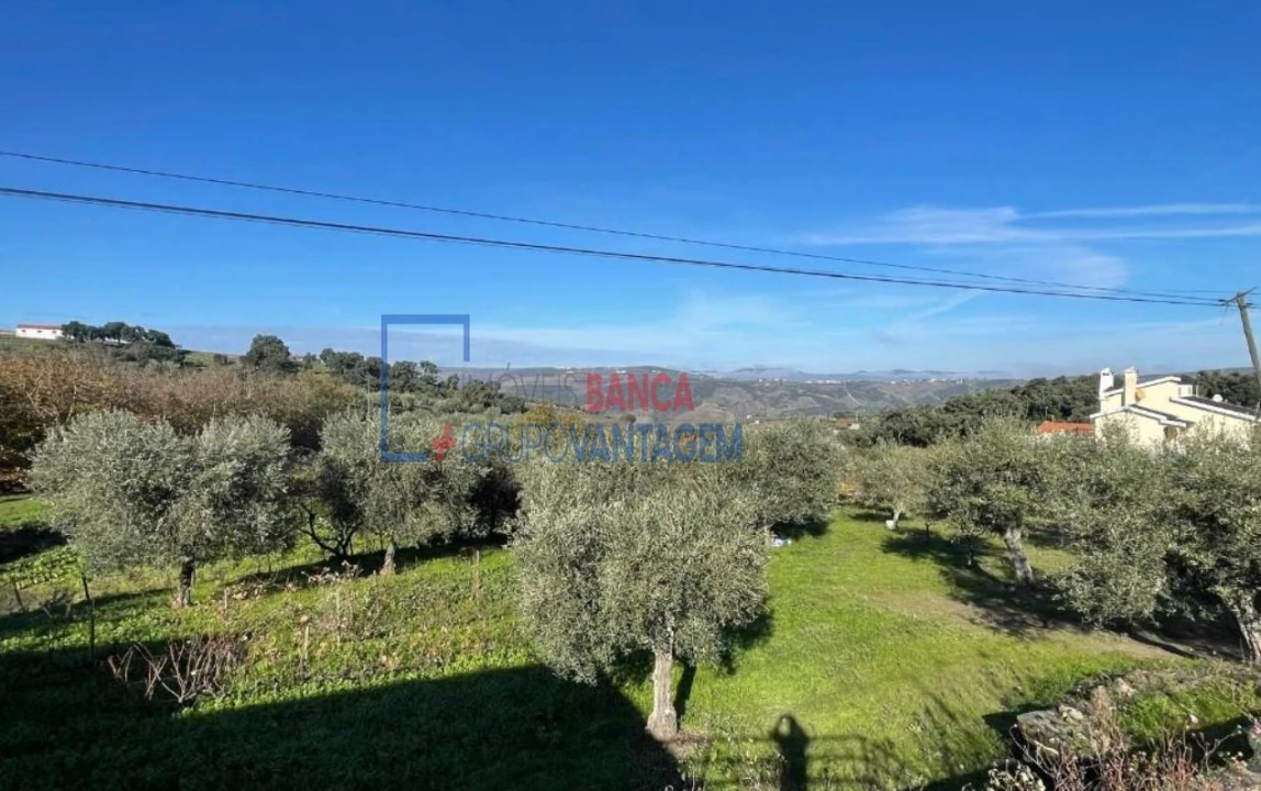 Prédio para Venda em Valongo dos Azeites Foto 17