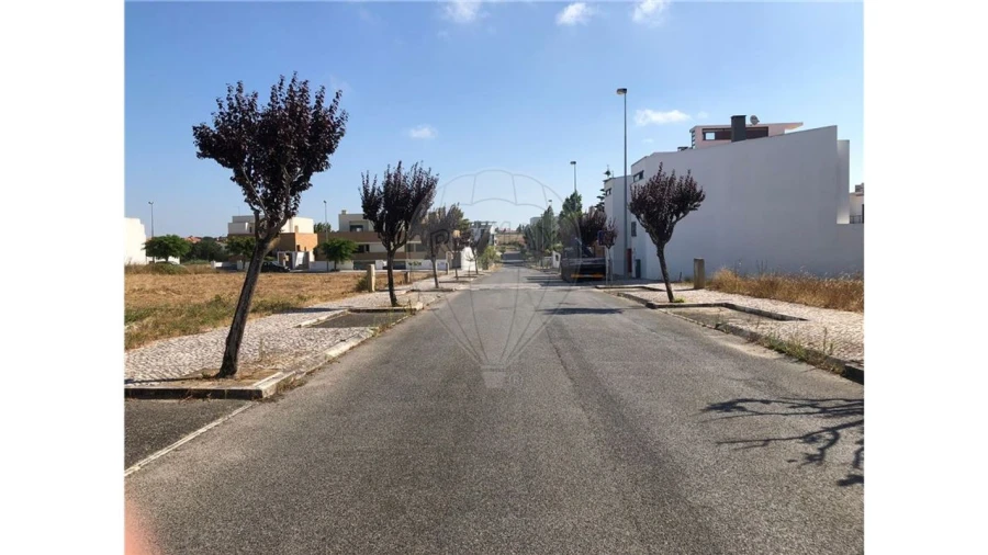 Terreno para Venda em Cartaxo e Vale da Pinta Foto 3