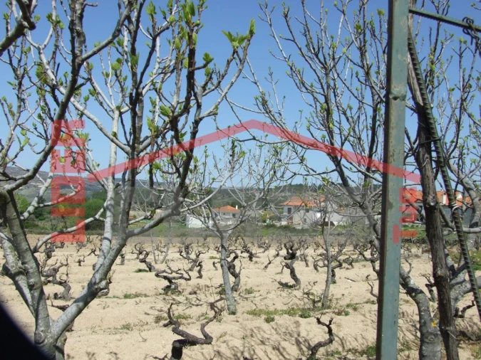 Moradia T6 para Venda em Aguieiras Foto 50