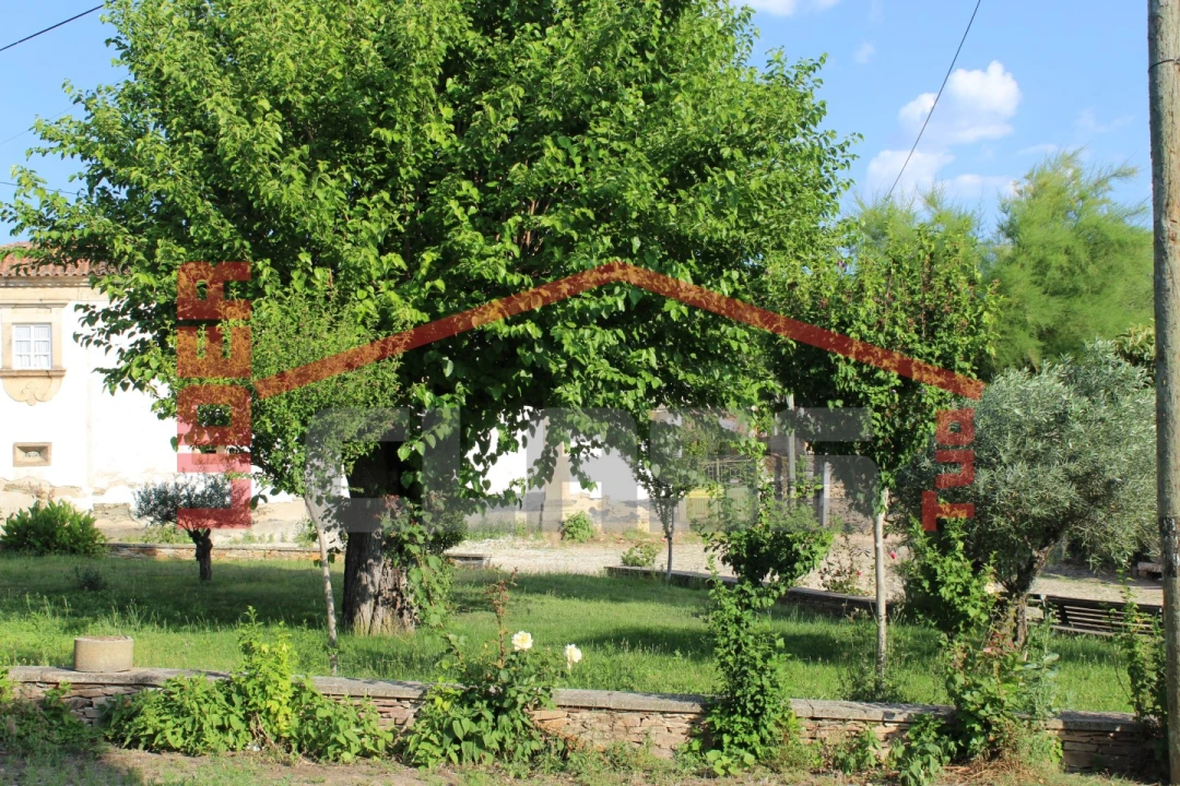 Moradia T3 para Venda em Avantos e Romeu Foto 26