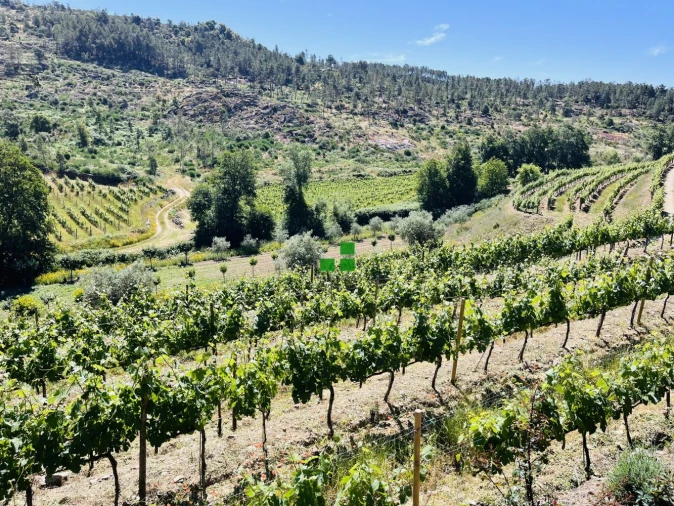 Quinta T2 para Venda em São Mamede de Ribatua Foto 5