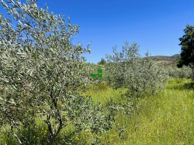 Quinta T2 para Venda em São Mamede de Ribatua Foto 36