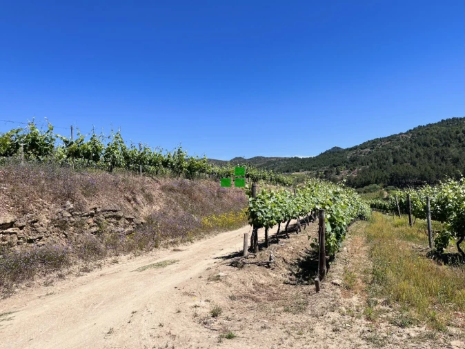 Quinta T2 para Venda em São Mamede de Ribatua Foto 44