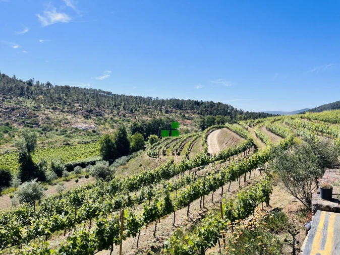 Quinta T2 para Venda em São Mamede de Ribatua Foto 6