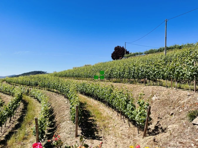 Quinta T2 para Venda em São Mamede de Ribatua Foto 2