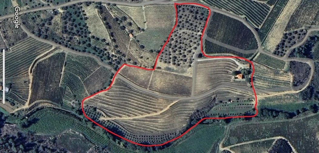 Quinta T2 para Venda em São Mamede de Ribatua Foto 55