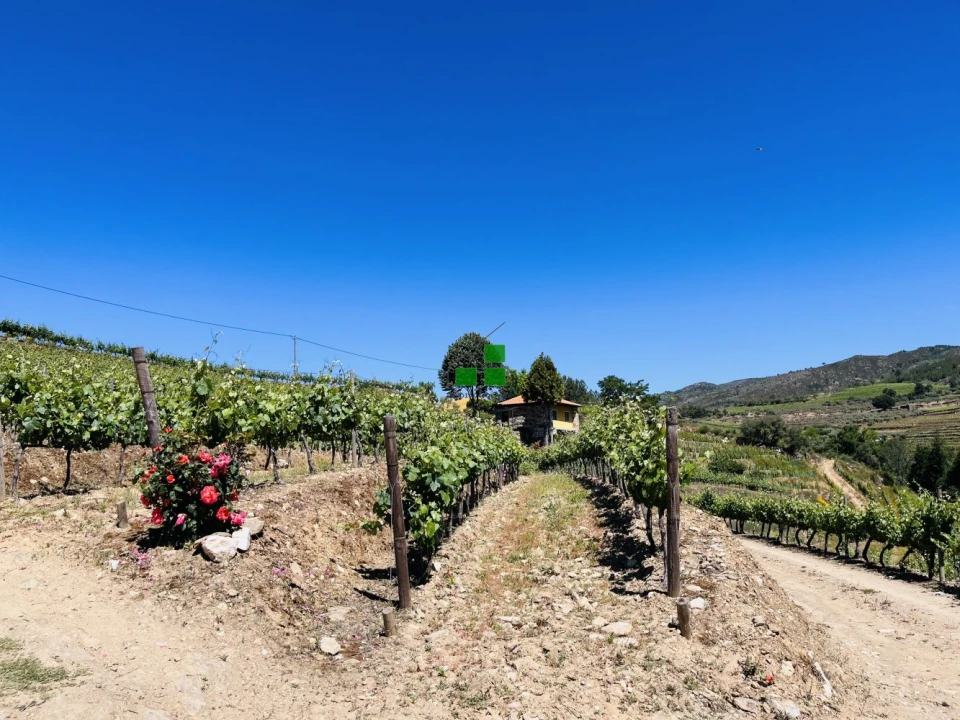 Quinta T2 para Venda em São Mamede de Ribatua Foto 37