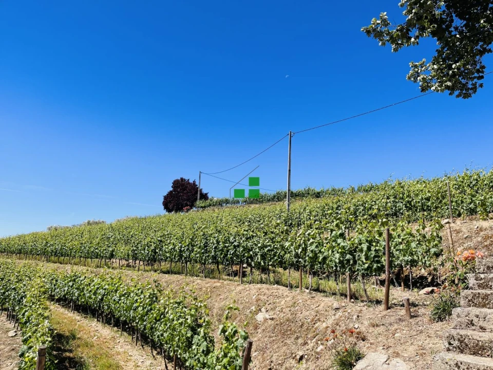 Quinta T2 para Venda em São Mamede de Ribatua Foto 3