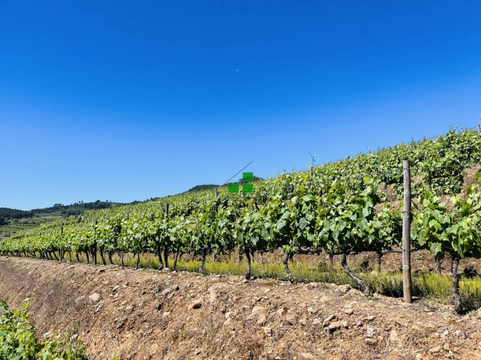 Quinta T2 para Venda em São Mamede de Ribatua Foto 11