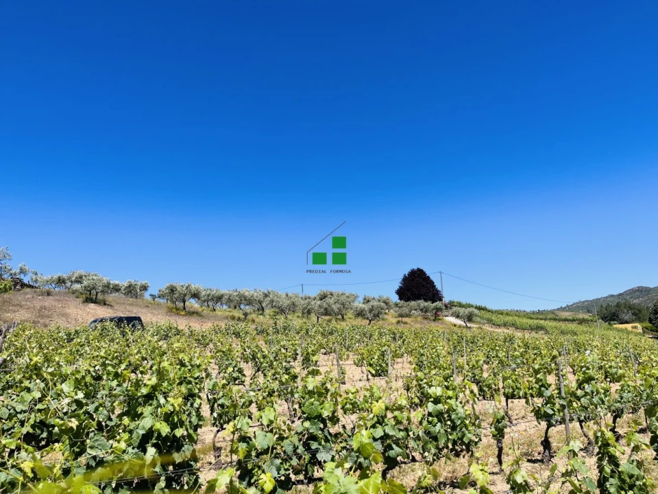 Quinta T2 para Venda em São Mamede de Ribatua Foto 52