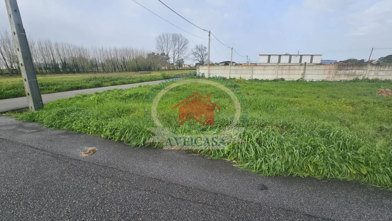 Terreno para Venda em Soza Foto 4