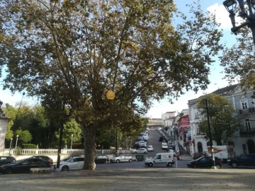 Loja para Trespasse em Sé Nova, Santa Cruz, Almedina e São Bartolomeu