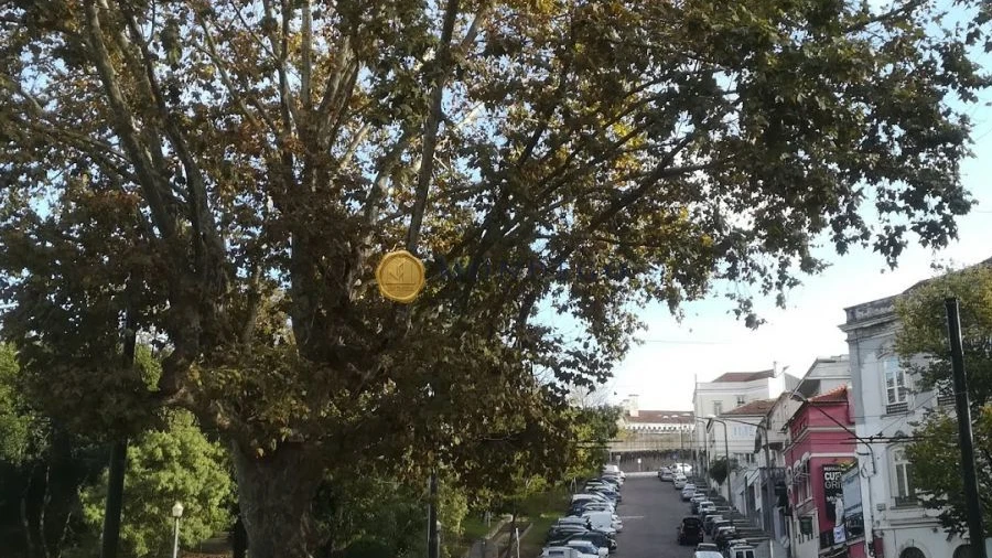 Loja para Trespasse em Sé Nova, Santa Cruz, Almedina e São Bartolomeu