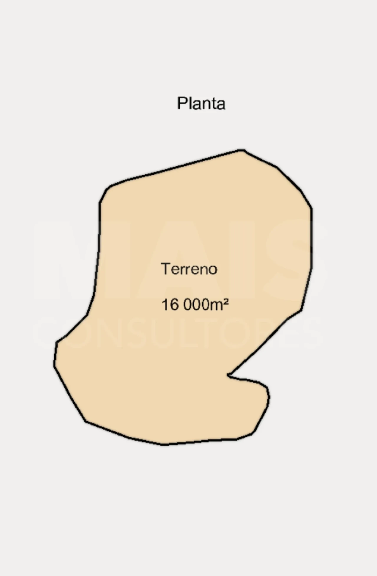 Terreno para Venda em Lousa Foto 3