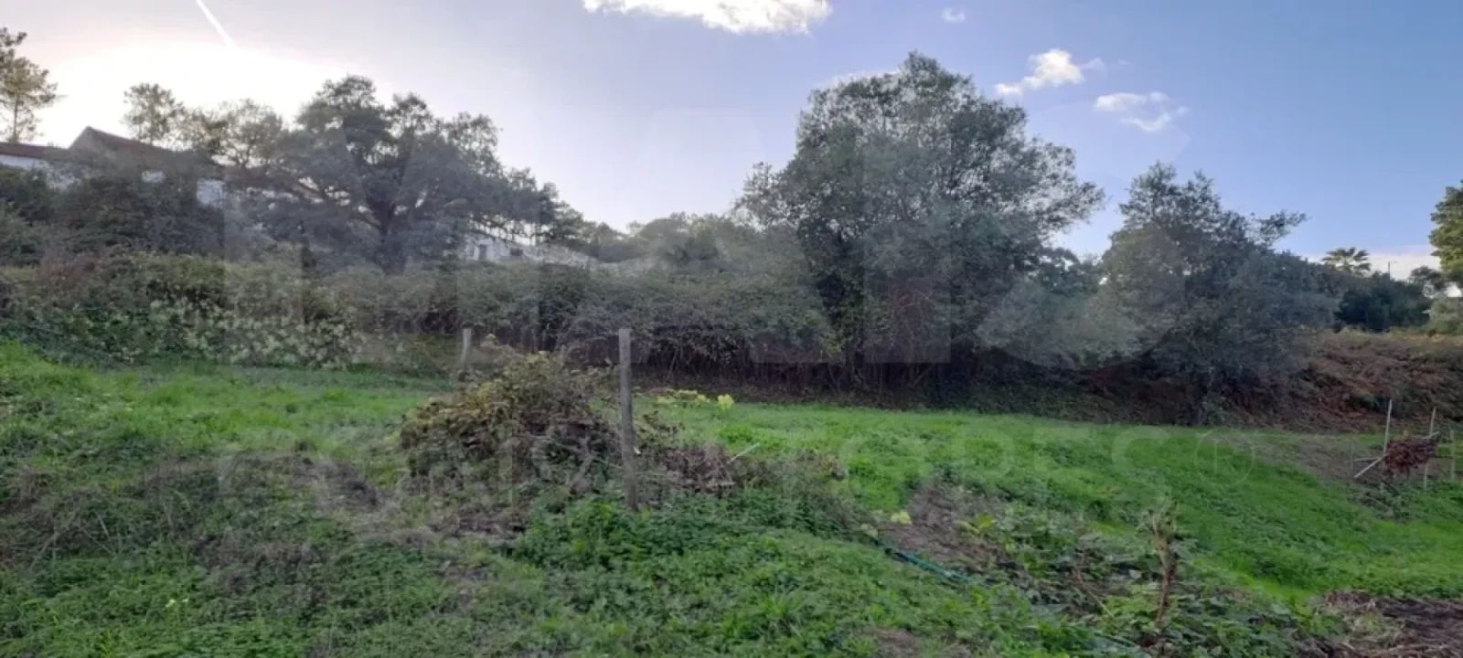 Terreno para Venda em Lousa Foto 6