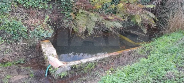 Terreno para Venda em Lousa