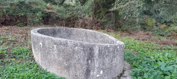 Terreno para Venda em Lousa