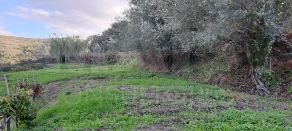 Terreno para Venda em Lousa