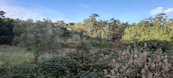 Terreno para Venda em Lousa