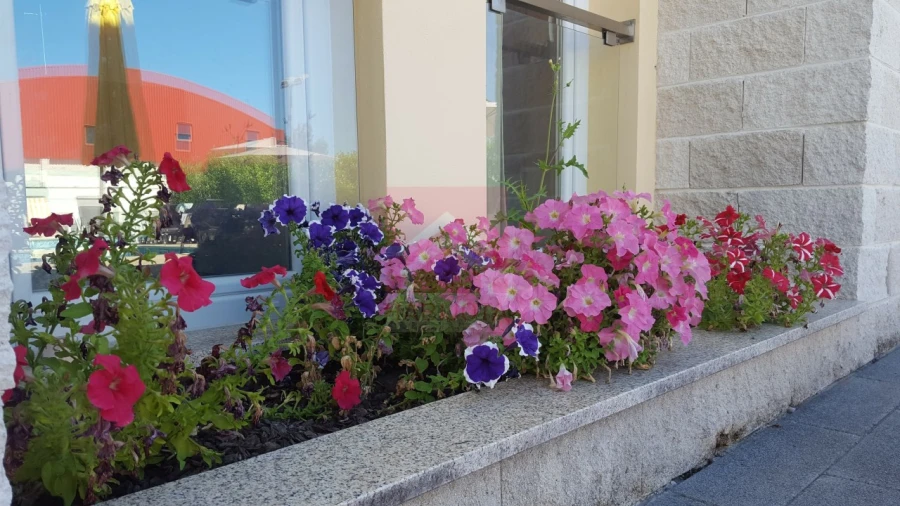 Prédio para Venda em Torre de D. Chama Foto 15