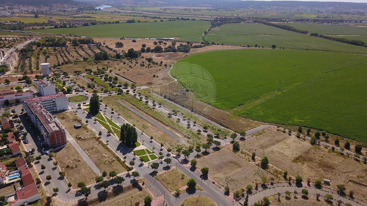 Terreno para Venda em São João Baptista Foto 8