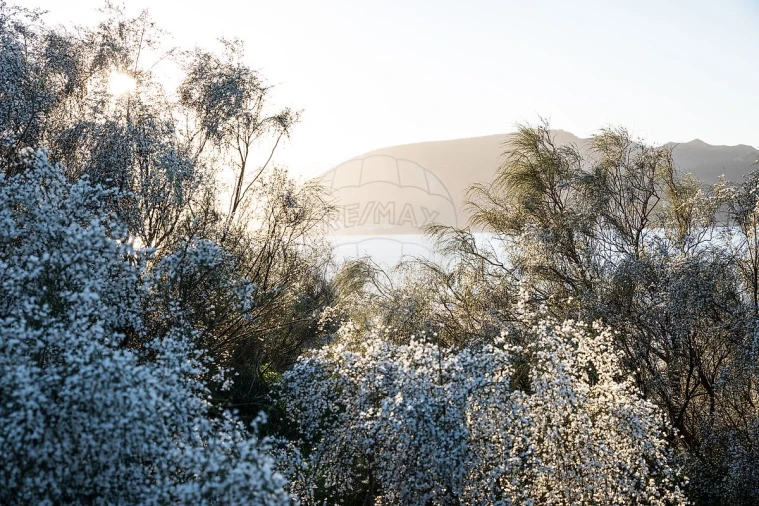 Apartamento T2 para Venda em Carvalhal Foto 24