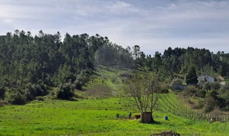 Terreno para Venda em Trouxemil e Torre de Vilela