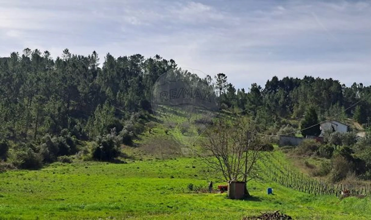 Terreno para Venda em Trouxemil e Torre de Vilela Foto 1